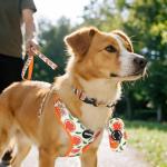 Cute Floral Mesh Harness and Leash Set for Dogs