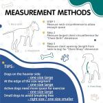 Tri-Color Adjustable No-Pull Dog Harness