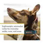 Ruffwear Hi & Light Ultralight Dog Collar, Sage