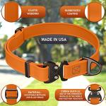 NexaPaw Adjustable Waterproof Dog Collar with ID Tag