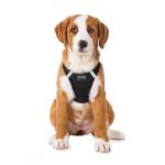 No Choke Step-In Dog Harness - Black, Large