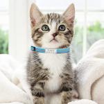 Reflective Personalized Cat Collar with Name Tag