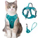 Escape-Proof Cat Harness and Leash Set, Blue