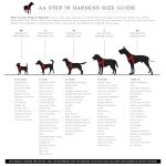 Personalized Organic Cotton Dog Harness - Adjustable Fit