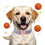 Cute Blue Basketball Print Dog Collar for Medium Dogs