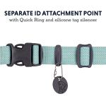 Ruffwear Hi & Light Ultralight Dog Collar, Sage