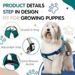 Tri-Color Adjustable No-Pull Dog Harness