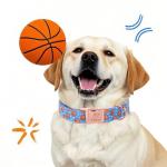 Cute Blue Basketball Print Dog Collar for Medium Dogs