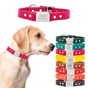 Personalized Waterproof Dog Collar with ScruffTag