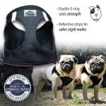 No Choke Step-In Dog Harness - Black, Large