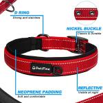Adjustable Reflective Dog Collar for Large Breeds
