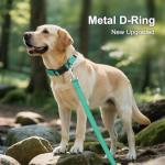 Personalized Reflective Dog Collar with Name Plate