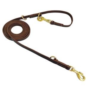 Hands-Free Multi-Function Leather Dog Leash 8ft