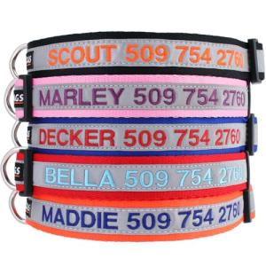 Custom Reflective Dog Collar with Name & Number