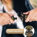 NexaPaw Waterproof Biothane Dog Collar with ID Tag