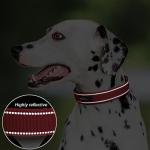 Adjustable Reflective Dog Collar for Large Breeds