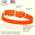 Heavy Duty Waterproof Dog Collar in Hunter Orange