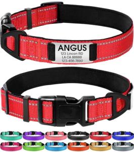 Personalized No-Jingle Dog Collar with ID Tag