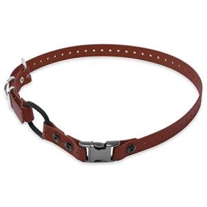 Educator Quick Snap Waterproof Bungee Dog Collar