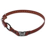 Educator Quick Snap Waterproof Bungee Dog Collar