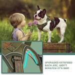 BUMBIN No Pull Tactical Dog Harness for Small Dogs