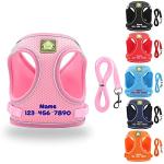 Personalized No-Pull Harness and Leash Set for Small Dogs
