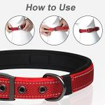 Adjustable Reflective Dog Collar for Large Breeds