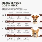 Bronzedog QR ID Leather Dog Collar in Brown