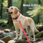 Personalized No-Jingle Dog Collar with ID Tag