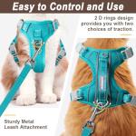 Escape-Proof Cat Harness and Leash Set, Blue