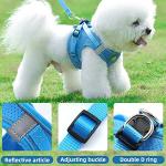 Personalized No-Pull Harness and Leash Set for Small Dogs