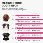 Soft Pink Rolled Leather Dog Collar with ID Tag