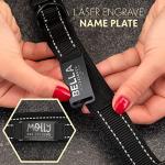 Personalized Reflective Dog Collar with ID Tag