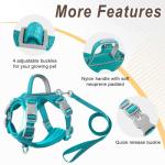Escape-Proof Cat Harness and Leash Set, Blue