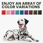 Bronzedog QR ID Leather Dog Collar in Brown