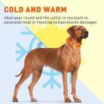 Heavy Duty Waterproof Dog Collar in Hunter Orange