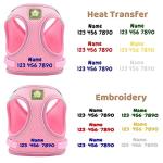 Personalized No-Pull Harness and Leash Set for Small Dogs