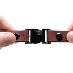 Educator Quick Snap Waterproof Bungee Dog Collar