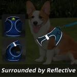 Personalized No-Pull Harness and Leash Set for Small Dogs