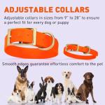 Heavy Duty Waterproof Dog Collar in Hunter Orange