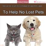 Matching Engraved Dog ID Necklace and Keychain Set