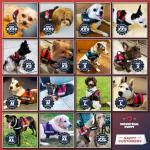 Reflective Service Dog Vest Harness Kit Bundle