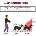 Personalized No-Pull Harness and Leash Set for Small Dogs