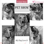 Matching Engraved Dog ID Necklace and Keychain Set