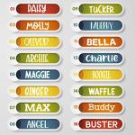 Personalized Reflective Dog Collar with ID Tag