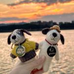 Personalized Stainless Steel Pet ID Tags