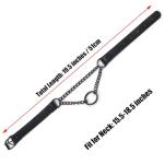 Gothic Black Leather Pet Collar and Leash Set