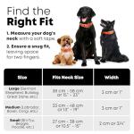 Medium Orange Waterproof Dog Collar and Leash Set