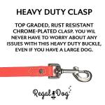 Medium Orange Waterproof Dog Collar and Leash Set