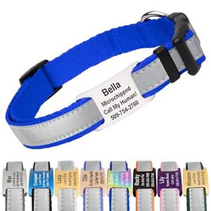 Personalized Reflective Dog Collar with Engraved ID Tag